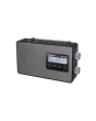 Panasonic RF-D10EB-K Portable Dab/Dab FM Radio (10 X Presets) Black