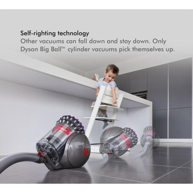 Dyson CY28AN 228563-01 Big Ball Animal 2 Cy28an2. Grey / Purple