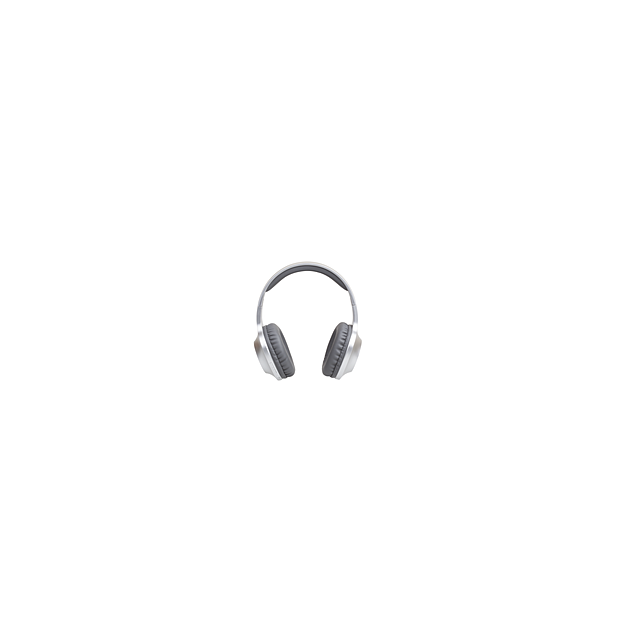 Panasonic RB-HX220BDES Over-Ear Bluetooth Odm, Extra Bass. Silver